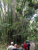 Parque Guanayara &ndash; &copy; Francisco Javier Burgos Gutierrez (Eberhardt TRAVEL)