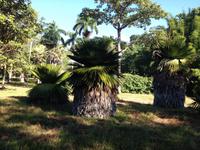 Cienfuegos &ndash; &copy; Francisco Javier Burgos Gutierrez (Eberhardt TRAVEL)