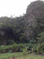 Pinar del Río &ndash; &copy; Francisco Javier Burgos Gutierrez (Eberhardt TRAVEL)