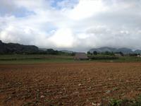 Viñales &ndash; &copy; Francisco Javier Burgos Gutierrez (Eberhardt TRAVEL)
