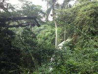 Soroa &ndash; &copy; Francisco Javier Burgos Gutierrez (Eberhardt TRAVEL)