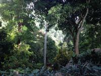 Soroa &ndash; &copy; Francisco Javier Burgos Gutierrez (Eberhardt TRAVEL)