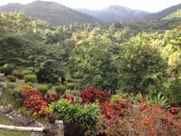 Soroa &ndash; &copy; Francisco Javier Burgos Gutierrez (Eberhardt TRAVEL)
