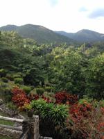Soroa &ndash; &copy; Francisco Javier Burgos Gutierrez (Eberhardt TRAVEL)