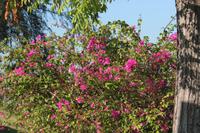 IMG_1088 &ndash; &copy; Vicky Kern (Eberhardt TRAVEL)