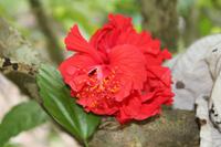 IMG_1309 &ndash; &copy; Vicky Kern (Eberhardt TRAVEL)