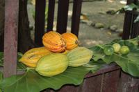 IMG_1315 &ndash; &copy; Vicky Kern (Eberhardt TRAVEL)