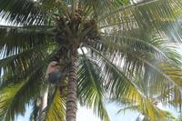 IMG_1364 &ndash; &copy; Vicky Kern (Eberhardt TRAVEL)
