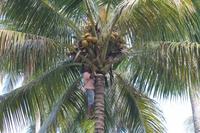 IMG_1365 &ndash; &copy; Vicky Kern (Eberhardt TRAVEL)