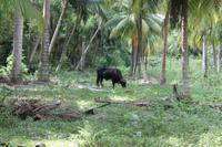 IMG_1386 &ndash; &copy; Vicky Kern (Eberhardt TRAVEL)