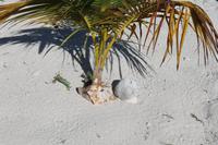 IMG_1739 &ndash; &copy; Vicky Kern (Eberhardt TRAVEL)