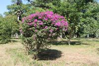 IMG_1896 &ndash; &copy; Vicky Kern (Eberhardt TRAVEL)