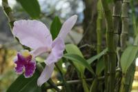 IMG_2276 &ndash; &copy; Vicky Kern (Eberhardt TRAVEL)