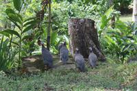 IMG_2291 &ndash; &copy; Vicky Kern (Eberhardt TRAVEL)