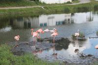 IMG_2303 &ndash; &copy; Vicky Kern (Eberhardt TRAVEL)
