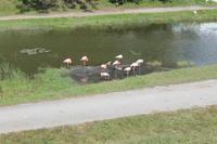 IMG_2308 &ndash; &copy; Vicky Kern (Eberhardt TRAVEL)