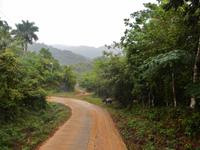 Regenwald &ndash; &copy; Rebekka Böhme (Eberhardt TRAVEL)
