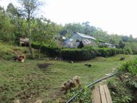181 Impressionen &ndash; &copy; Ngoc Anh Nguyen (Eberhardt TRAVEL)