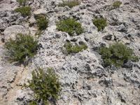 ... hier ist kein Sandstrand &ndash; &copy; Annette Zocher (Eberhardt TRAVEL)