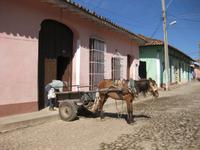 Trinidad &ndash; &copy; Annette Zocher (Eberhardt TRAVEL)