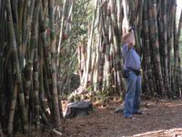 Manfred beim Filmen &ndash; &copy; Annette Zocher (Eberhardt TRAVEL)