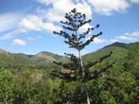 Ausblick &ndash; &copy; Annette Zocher (Eberhardt TRAVEL)