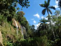 kubanischer Urwald &ndash; &copy; Kathrin Mickan (Eberhardt TRAVEL)