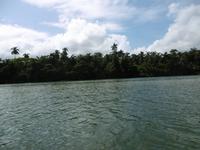 Rio Toa &ndash; &copy; Rebekka Böhme (Eberhardt TRAVEL)