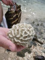 Cayo Macho &ndash; &copy; Rebekka Böhme (Eberhardt TRAVEL)