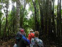 Topes de Collantes &ndash; &copy; Rebekka Böhme (Eberhardt TRAVEL)