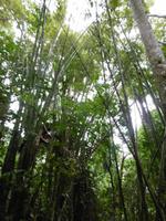 Topes de Collantes &ndash; &copy; Rebekka Böhme (Eberhardt TRAVEL)
