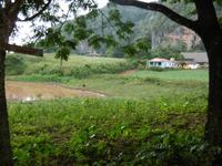 Vinales &ndash; &copy; Rebekka Böhme (Eberhardt TRAVEL)
