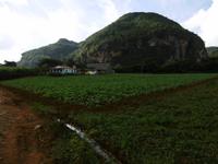 Vinales &ndash; &copy; Rebekka Böhme (Eberhardt TRAVEL)