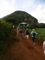 Vinales &ndash; &copy; Rebekka Böhme (Eberhardt TRAVEL)
