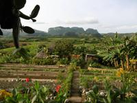 Vinales &ndash; &copy; Rebekka Böhme (Eberhardt TRAVEL)
