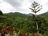 Soroa &ndash; &copy; Rebekka Böhme (Eberhardt TRAVEL)