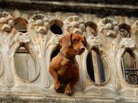 Havanna &ndash; &copy; Kerstin Hugel (Eberhardt TRAVEL)