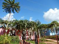 366DSCN9449 &ndash; &copy; Kerstin Hugel (Eberhardt TRAVEL)