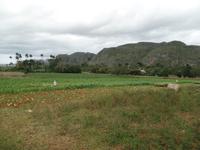 Viñales24 &ndash; &copy; Francisco Javier Burgos Gutierrez (Eberhardt TRAVEL)