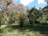 Botanischer Garten Cienfuegos15 &ndash; &copy; Francisco Javier Burgos Gutierrez (Eberhardt TRAVEL)