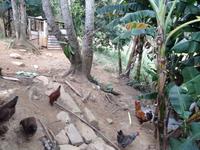 Sierra del Escambray17 &ndash; &copy; Francisco Javier Burgos Gutierrez (Eberhardt TRAVEL)