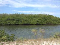 Cayo Santa Maria11 &ndash; &copy; Francisco Javier Burgos Gutierrez (Eberhardt TRAVEL)