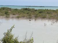 Cayo Santa Maria17 &ndash; &copy; Francisco Javier Burgos Gutierrez (Eberhardt TRAVEL)