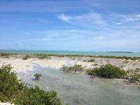 Cayo Santa Maria18 &ndash; &copy; Francisco Javier Burgos Gutierrez (Eberhardt TRAVEL)