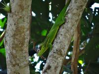 Parque Guanayara &ndash; &copy; Ralf Mehnert (Eberhardt TRAVEL)