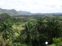 Vinales Tal &ndash; &copy; Ralf Mehnert (Eberhardt TRAVEL)