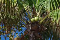 Nicht unbedingt drunter stehen &ndash; &copy; Rico Manns (Eberhardt TRAVEL)