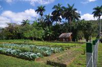 Garten  &ndash; &copy; Rico Manns (Eberhardt TRAVEL)
