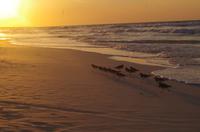 Sonnenuntergang &ndash; &copy; Rico Manns (Eberhardt TRAVEL)