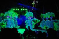Tropicana &ndash; &copy; Rico Manns (Eberhardt TRAVEL)